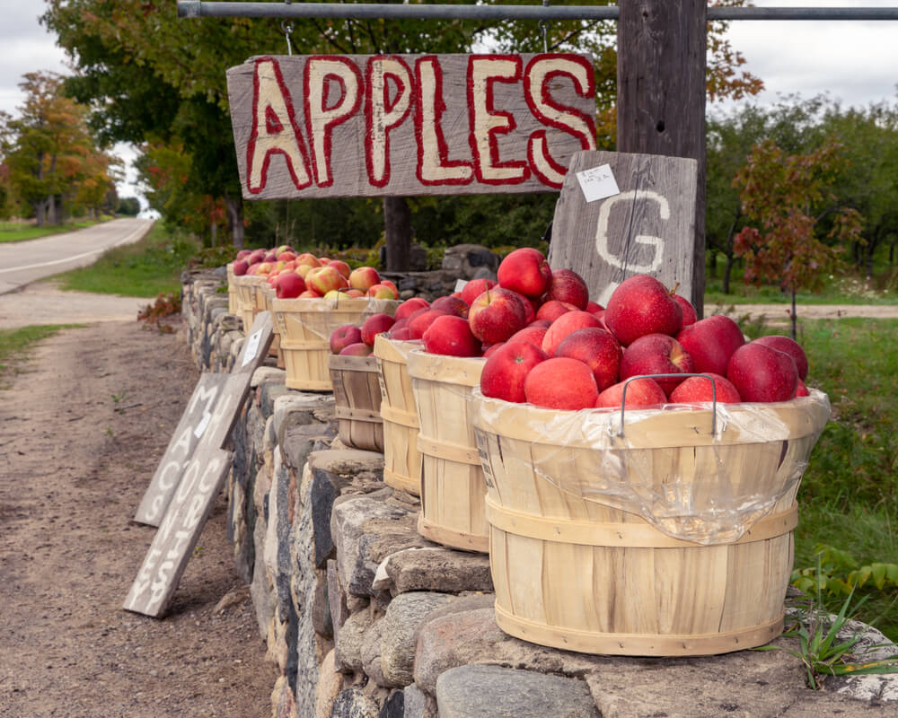 Join Us for Bayfield Apple Festival in Wisconsin Old Rittenhouse Inn