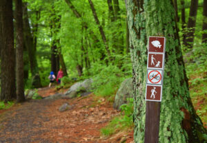 Hidden gem trail in Northern Wisconsin