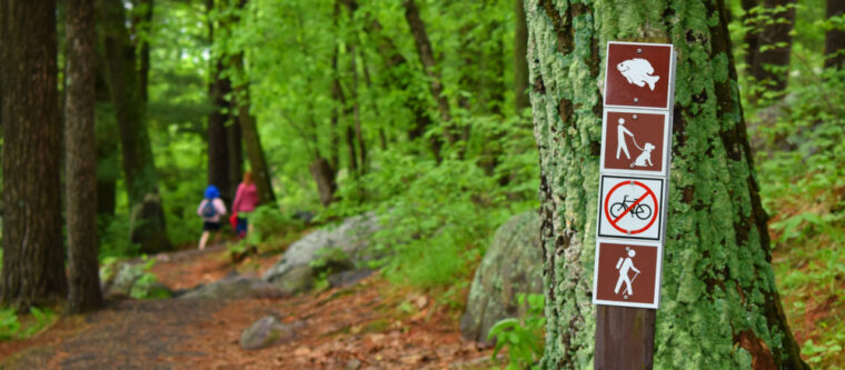 Hidden gem trail in Northern Wisconsin